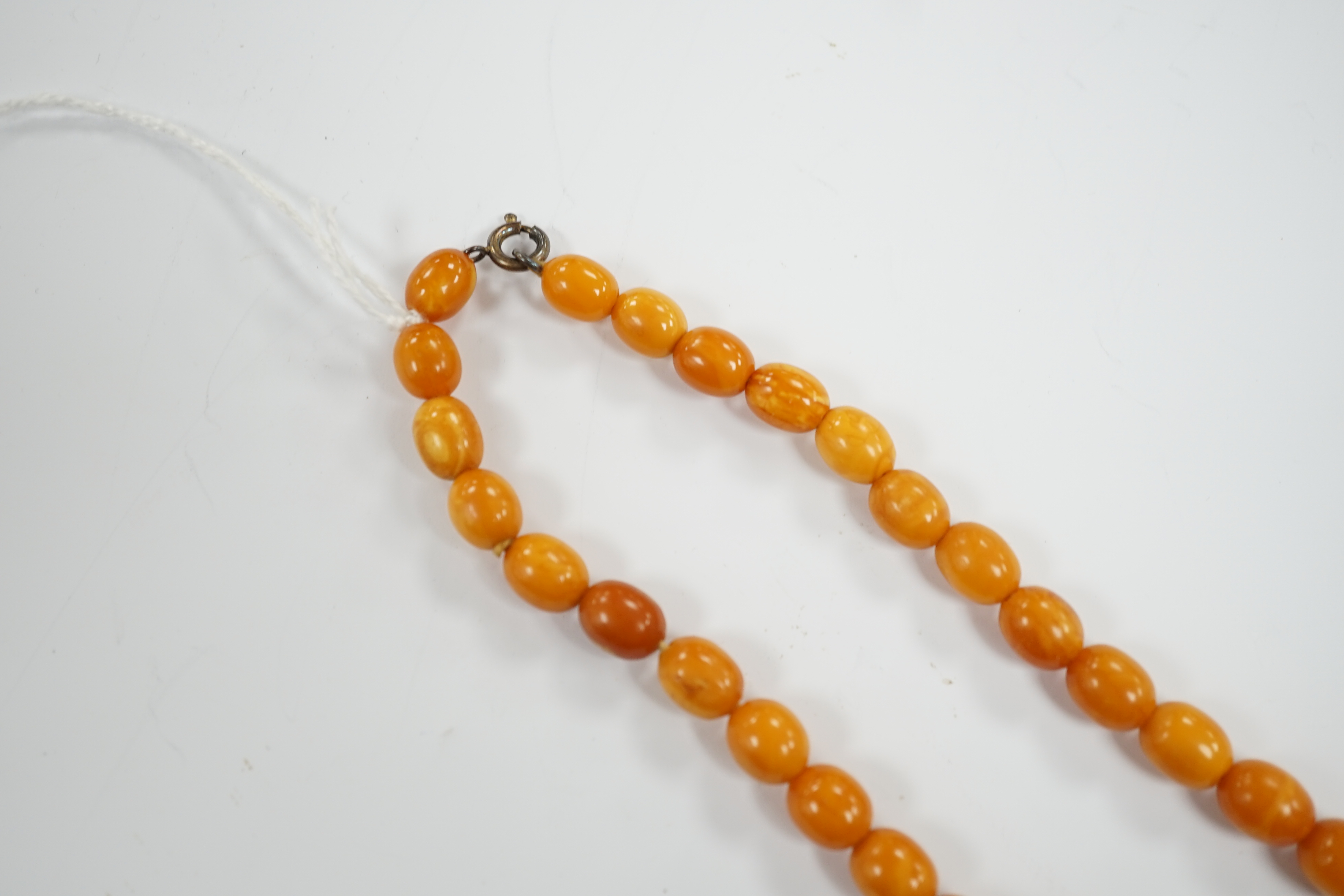 A single strand graduated oval amber bead necklace, 42cm, gross 21 grams.